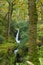 Glendalough Poulanass waterfall. Name means hole of the waterfall. Autumn time. Green leaves, long exposure, silky smooth water