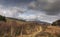 Glenrickard forest scenery & mountains.