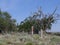 Glenrio, one of America`s ghost towns in New Mexico