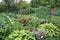 Glensheen Congdon Mansion gardens