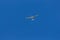 The glider flies in clean blue sky