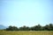 A glider or sailplane - aircraft landed on the ground.