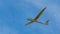 Glider or sailplane in flight,near Loch Leven,Perth and Kinross,Scotland