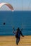 Gliders over the Pacific Ocean in California