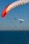 Gliders over the Pacific Ocean in California