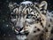 A Glimpse into the Elusive Snow Leopard\\\'s Realm