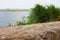 Glimpse of sea and river among the nature of marina di pisa in the tuscan serenity of the summer landscape