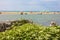 Glimpse of sea and river among the nature of marina di pisa in the tuscan serenity of the summer landscape