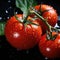 Glistening Beauty: Juicy Tomato. Generative AI