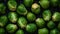 Glistening Brussel Sprouts: A Macro Masterpiece