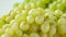 Glistening Japanese White Grapes: A Close-Up of Abundant Shine-Muscat Varieties on a White Backgroun