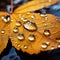 Glistening macro dew or raindrops enhance the allure of a yellow autumn leaf, Ai Generated