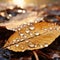 Glistening macro dew or raindrops enhance the allure of a yellow autumn leaf, Ai Generated