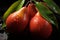 Glistening mangos adorned with refreshing water droplets