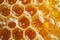 Glistening Symphony, Water-Drenched Honeycombs Beckon With Nectars Liquid Gold