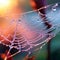 Glistening Threads: A Captivating Web of Morning Dew