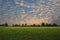 Glisteningly golden sky over green field