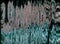 glitch noise texture digital artifacts gray green