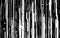 Glitch vertical lines. White and black distortion. Random television stripes. Old grunge video. No signal effect. Retro