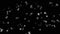 Glittering white circles, shiny particles shimmering on black background. Blur, monochrome, small dots blinking