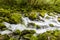 Gljun stream source near Bovec village, Sloven