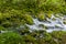 Gljun stream source near Bovec village, Sloven