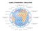 Global Atmospheric Circulation