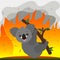 Global catastrophe fire in the forests of Australia. The unfortunate koala is afraid of fire and cries