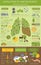 Global environmental problems. Exhaustion of land resources infographic. Deforestation