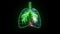 global particle green hydrogen flying inside lung green digital animation blood vessel with pink energy