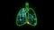 global particle green hydrogen flying inside lung green digital animation energy life