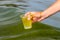 Global pollution of environment. A man collects green water with algae for analysis. Water bloom  phosphate pollution in the sea 