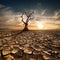 Global warming concept. Lonely dead tree under dramatic evening