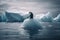 Global Warming Concept with Penguin on a Stranded Melting Iceberg emphasizing the danger of Global Warming