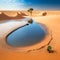 global water problem in the world desert