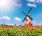 Globe amaranth flower and windmill and blue sky background