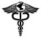 Globe Caduceus Medical Symbol