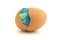 Globe in egg