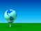 Globe golf ball