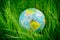 Globe on grass. earth day, environment concept