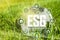 Globe made of glass with icons metaphor for ESG environment social governance on green grass