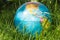 The globe model of the Earth in green grass showing ECO concept, protecting the world from pandemics, summer, outdoor