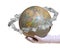 Globe with money in orbit in hand with glove