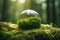 Globe on Moss in Forest, Environmental Concept