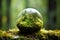 Globe on Moss in Forest, Environmental Concept