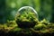 Globe Placed On Moss In Forest, Illustrating Environmental Earth Day Concept