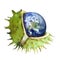 Globe protected in the shell of a chestnut, symbol of environmental protection