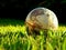 Globe resting in Grass