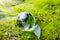 Globe resting on moss in a forest.