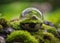 a globe resting on a rock covered with green moss